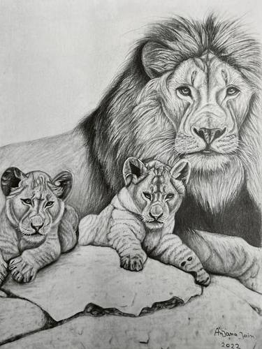 Original Fine Art Animal Drawings by Anjana Jain