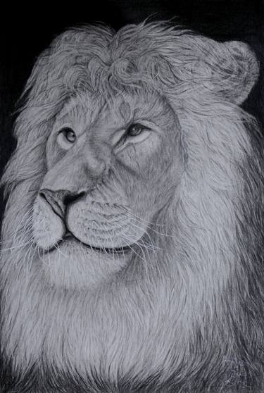 Lion portrait thumb