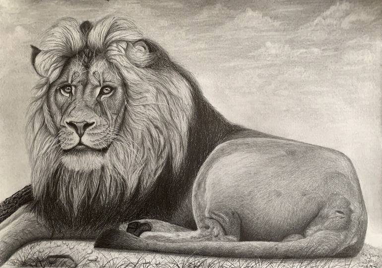 Color Sketch Lion Drawing by Sam Pako - Fine Art America-gemektower.com.vn