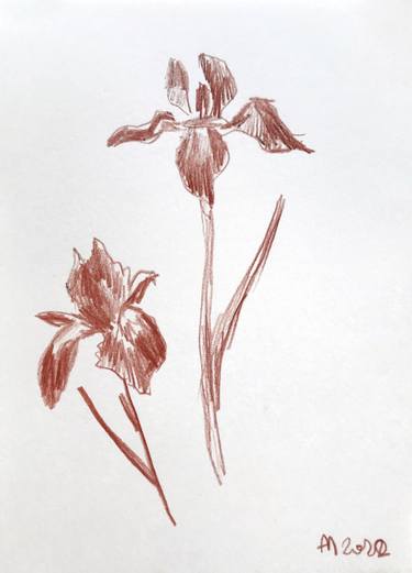 Print of Floral Drawings by Ana Mosalska