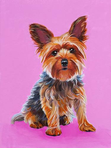 Yorkie on pink thumb