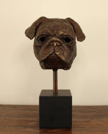 Pug thumb