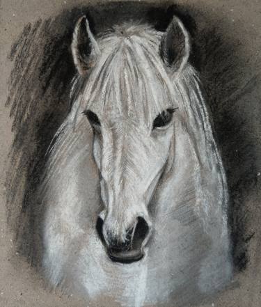 Print of Realism Animal Drawings by olga markichova