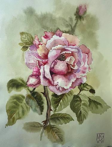 Original Illustration Botanic Paintings by Maria Kireev