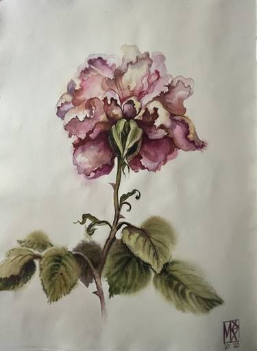 Original Realism Botanic Paintings by Maria Kireev