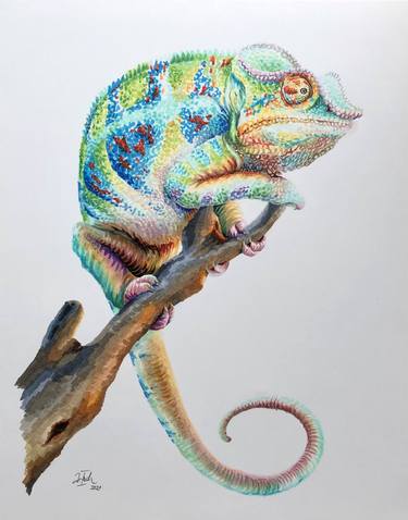 realistic chameleon drawing