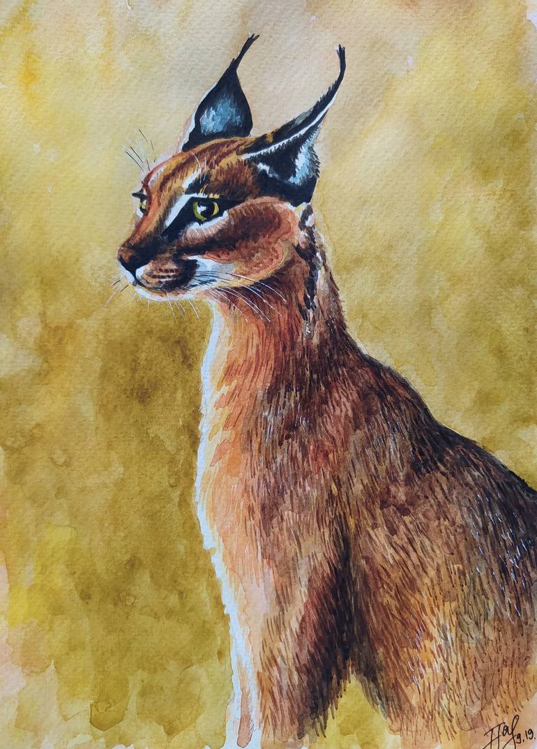 Portrait of Caracal- 24x30 Limited Edition Print on Canvas