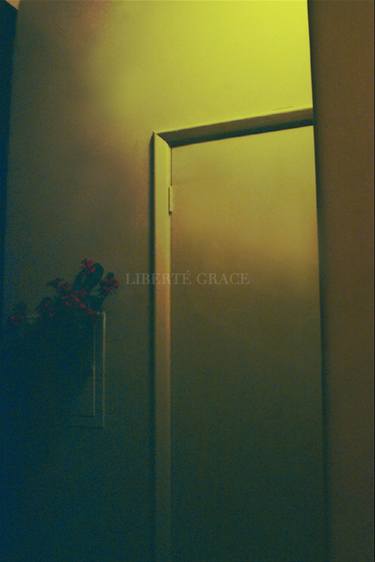 Sheridan Close | Midnight Flowers thumb