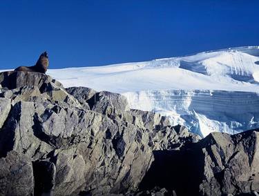 Imagine Antarctica: I Am Presence thumb