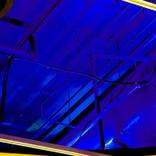 Storey: Electric Blue by Liberté Grace