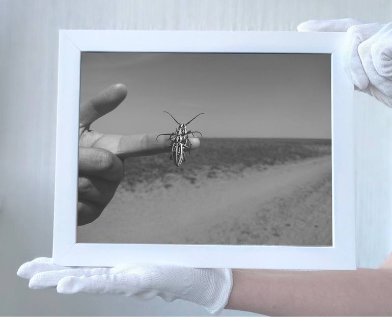 Original Documentary Animal Photography by Diana Baiss