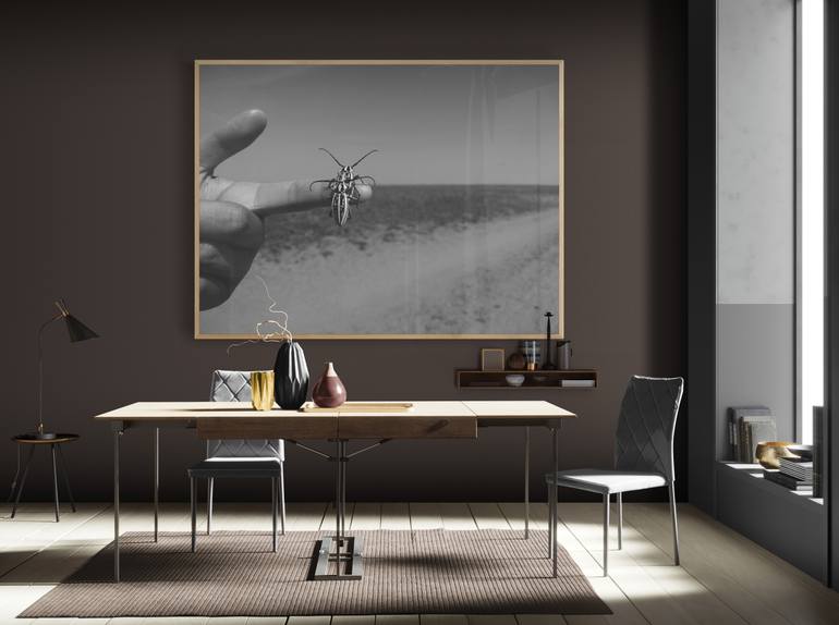 Original Documentary Animal Photography by Diana Baiss