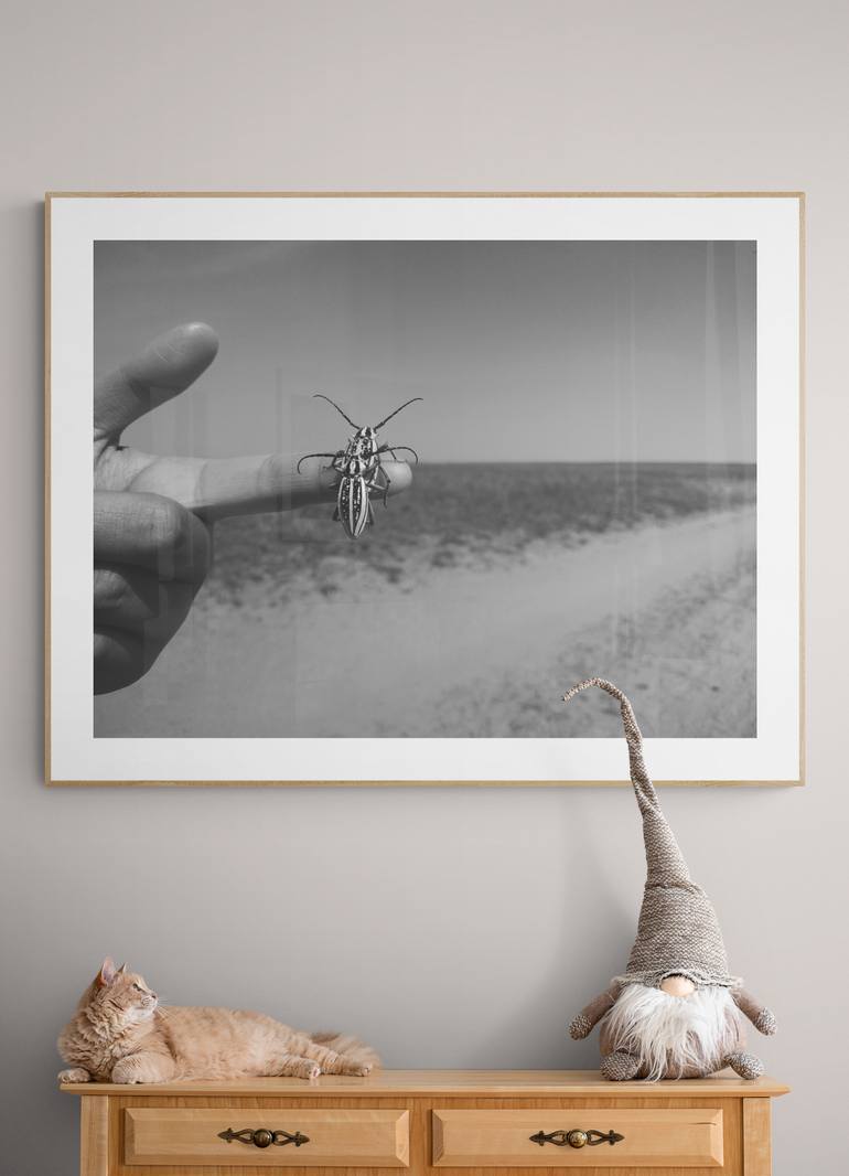 Original Documentary Animal Photography by Diana Baiss