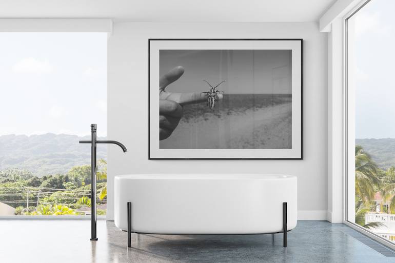 Original Documentary Animal Photography by Diana Baiss