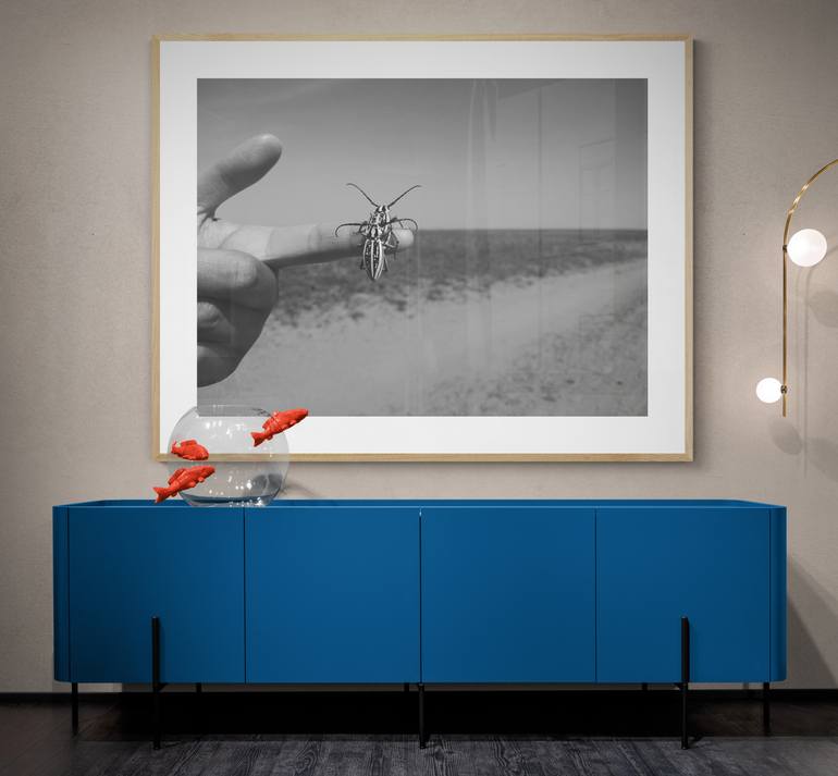 Original Documentary Animal Photography by Diana Baiss