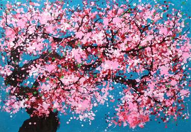 SAKURA - Cherry blossoms bloom thumb