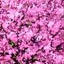 view additional image 4