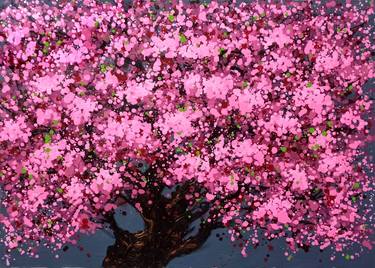 SAKURA - Cherry blossoms bloom thumb