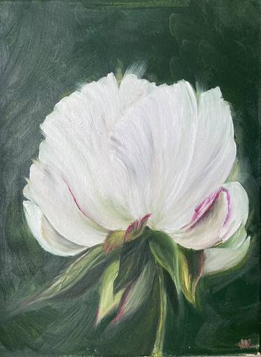Original Botanic Paintings by Weronika Waskowska