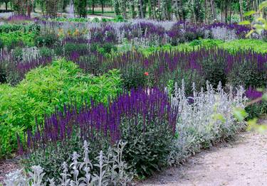 Print of Garden Photography by Sergio Cerezer