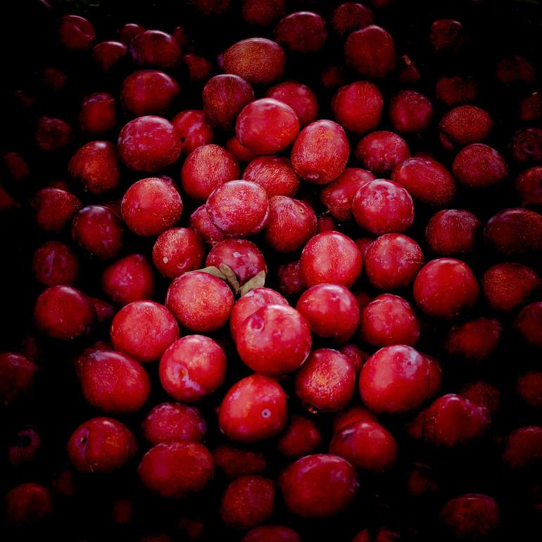 Original  Photography by sergio  cerezer