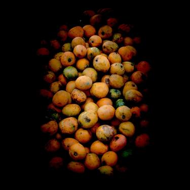 Original Conceptual Cuisine Photography by Sergio  Cerezer