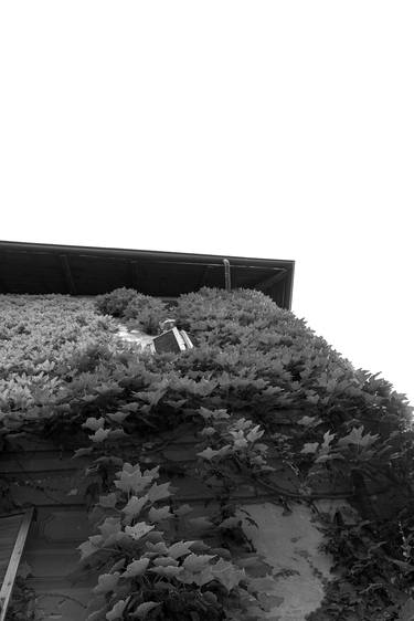 Original Conceptual Architecture Photography by Sergio  Cerezer