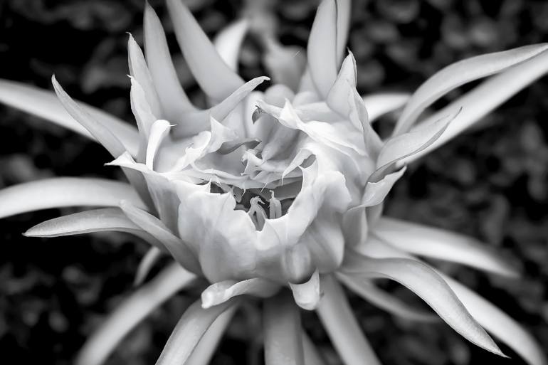Original  Photography by sergio  cerezer