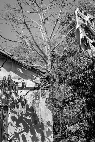 Original Conceptual Architecture Photography by Sergio  Cerezer