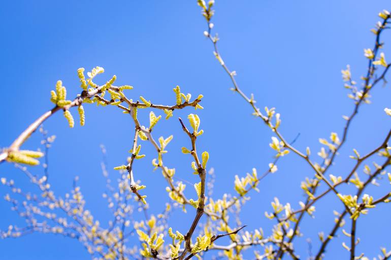 Original  Photography by sergio  cerezer