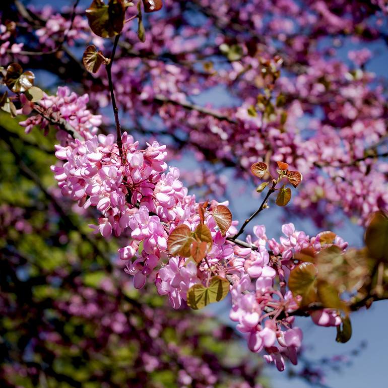 Original  Photography by sergio  cerezer