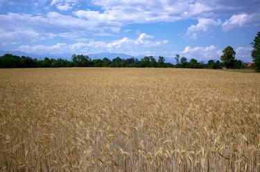 Print of Conceptual Landscape Photography by Sergio Cerezer