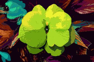 Original Abstract Expressionism Floral Photography by Sergio  Cerezer