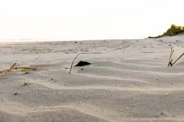 Print of Conceptual Beach Photography by Sergio Cerezer