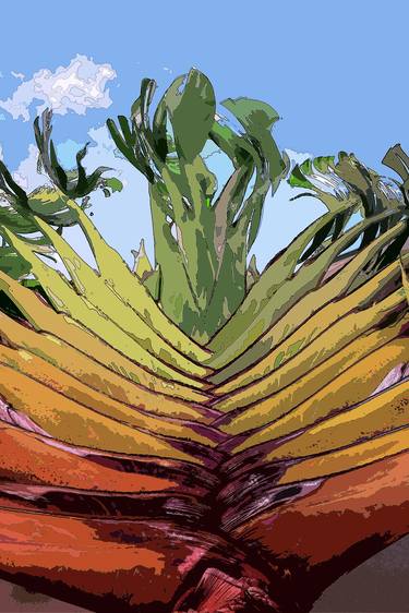 Original Abstract Expressionism Garden Digital by Sergio Cerezer