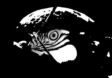 Original Abstract Expressionism Animal Photography by Sergio  Cerezer