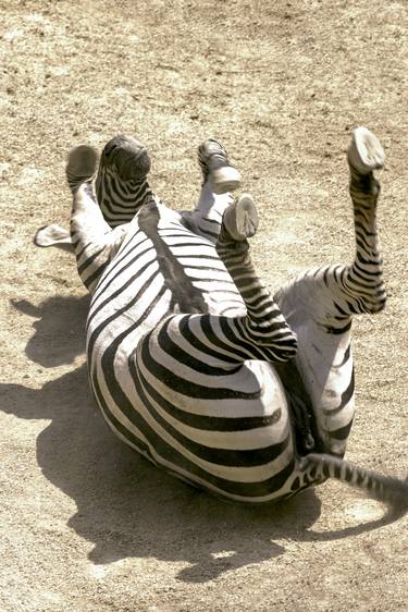 Original Abstract Expressionism Animal Photography by Sergio  Cerezer