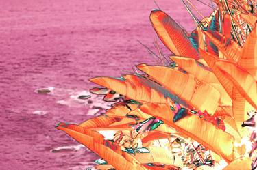 Original Abstract Expressionism Abstract Photography by Sergio  Cerezer