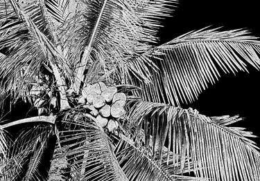 Original Abstract Tree Digital by Sergio Cerezer