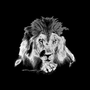 Original Abstract Expressionism Animal Photography by Sergio  Cerezer