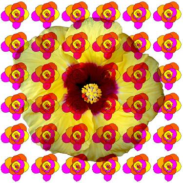 Print of Abstract Floral Digital by Sergio Cerezer