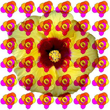 Print of Floral Digital by Sergio Cerezer