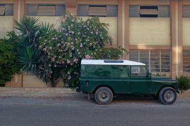 land rover and hibiscus thumb