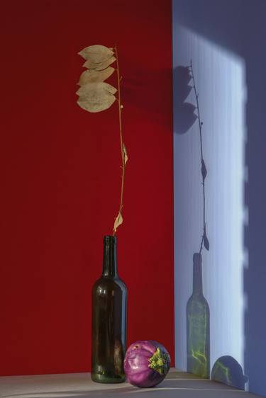 Original Abstract Still Life Photography by Vladimir Sumovskij