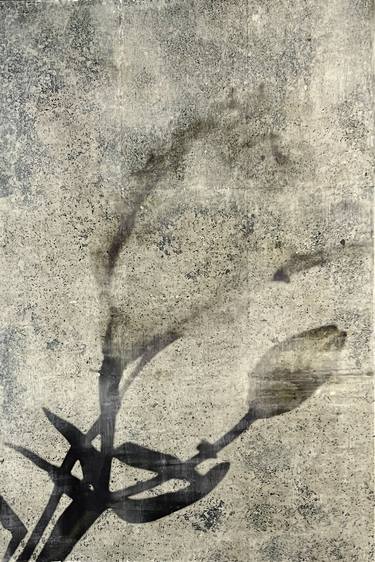 Original Conceptual Botanic Mixed Media by Helena Palazzi