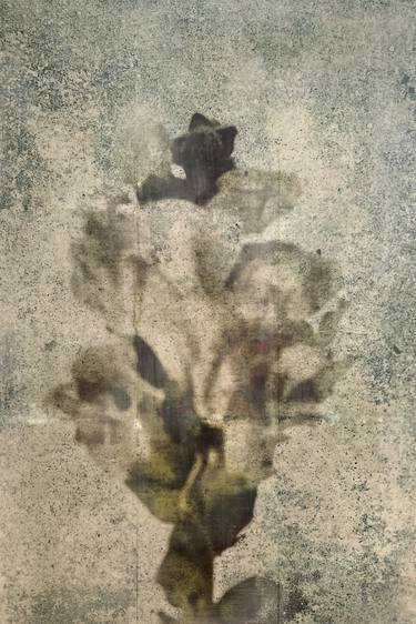 Original Conceptual Botanic Mixed Media by Helena Palazzi