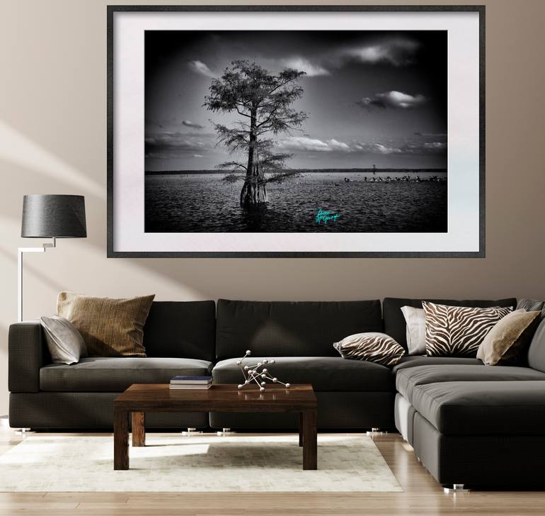 Original Other Landscape Photography by Doreen Mcgunagle