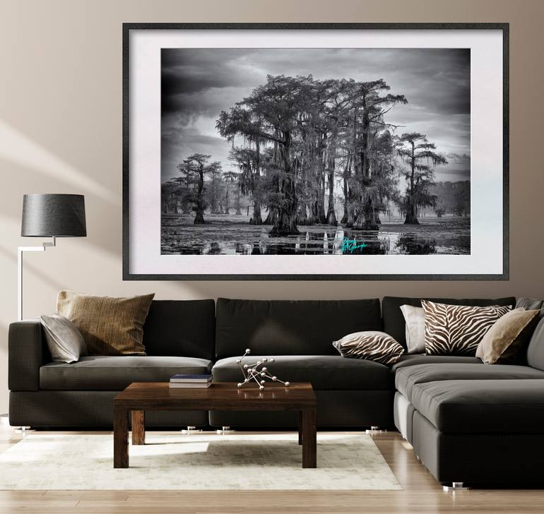 Original Other Landscape Photography by Doreen Mcgunagle