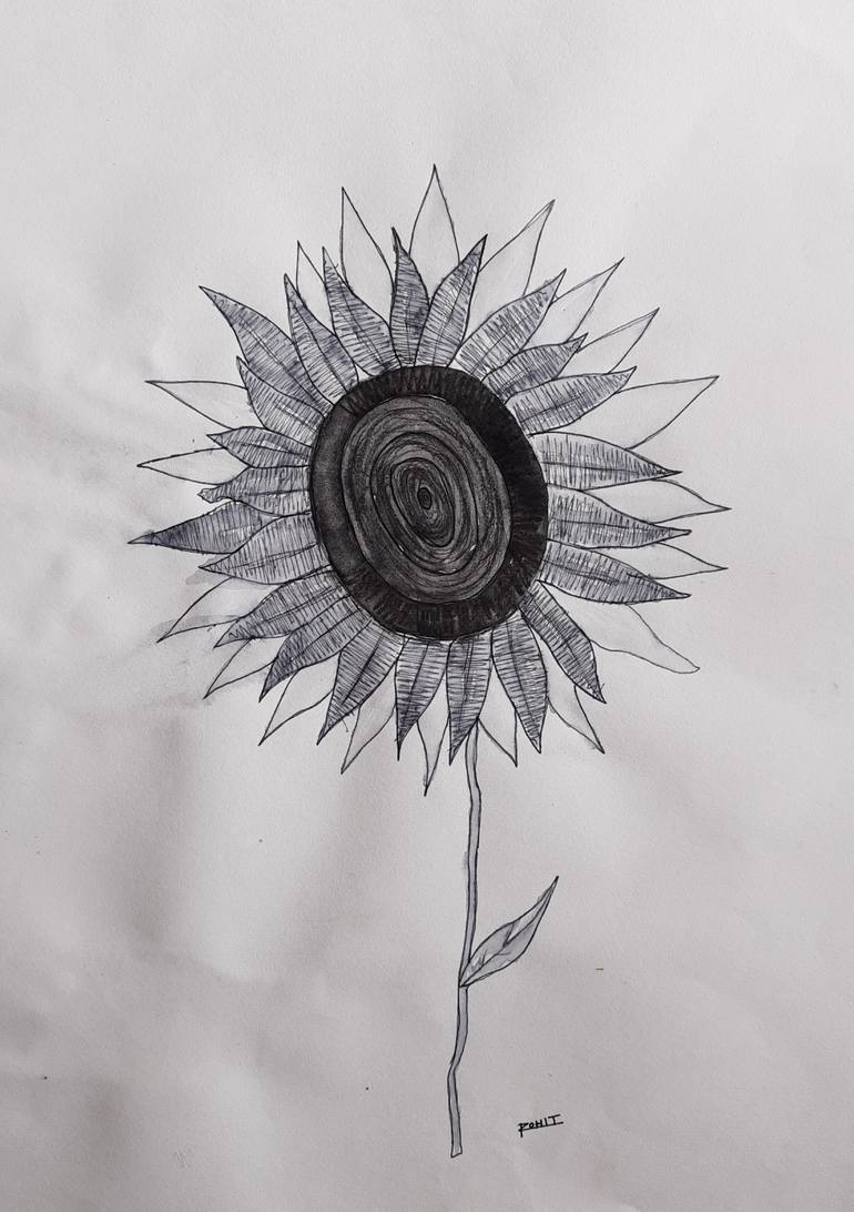 Original Abstract Botanic Drawing by Studioo Rohit