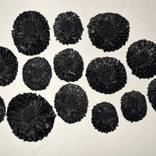Black Rosettes by Esther Suzanne Scott